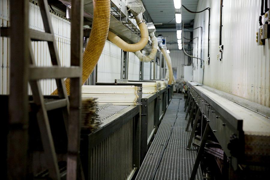 Без паники и спасибо Путину: что думают производители хлеба и консервов о продовольственном эмбарго