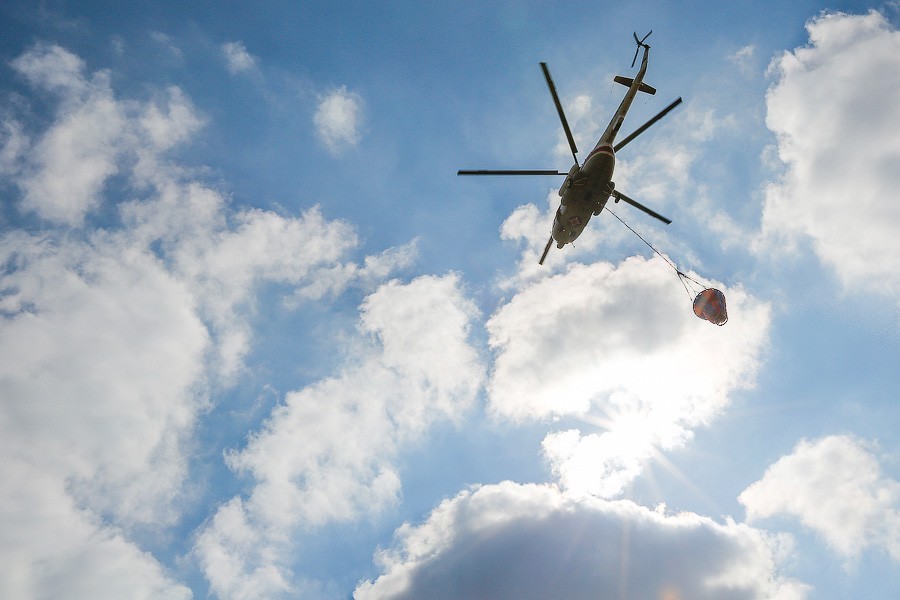 Ущерб от лесных пожаров в России предварительно оценили в 19 млрд рублей