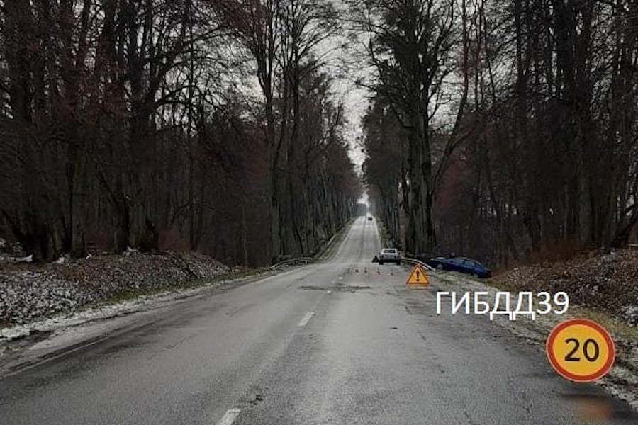 На мамоновской трассе пенсионер на «Рено» врезался в дерево, есть пострадавший (фото)