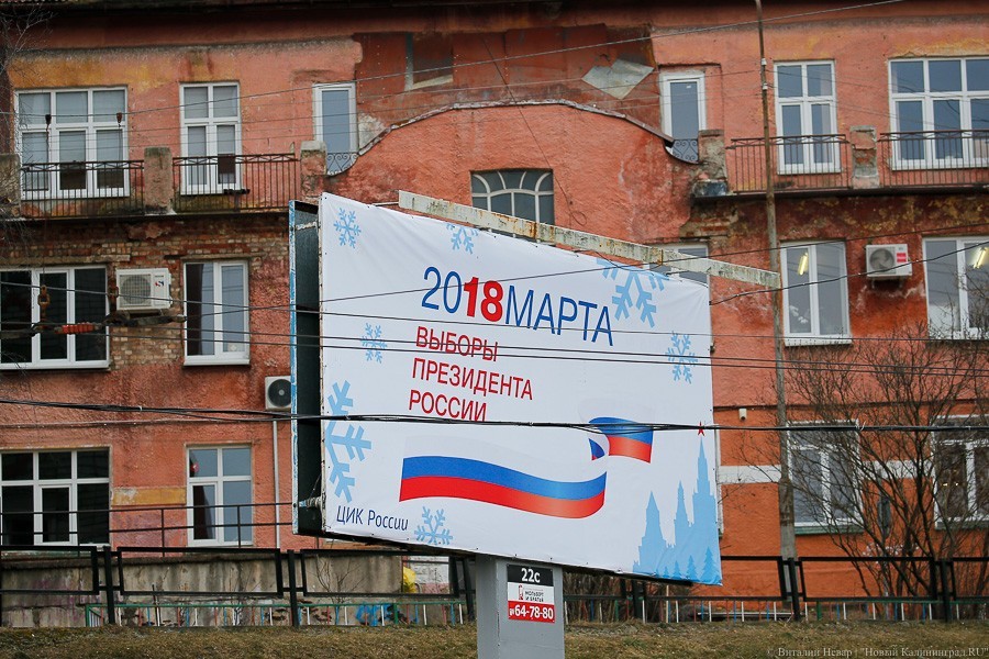 К полудню явка в Калининградской области выросла до 24,45%
