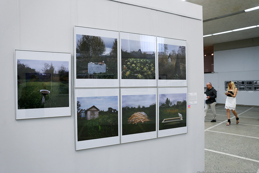Конкурсный показ: в Калининграде открылась «Фотомания 2017»