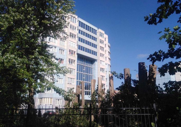 В Зеленоградске расследуют «варварскую остолбовку» деревьев на ул. Тургенева