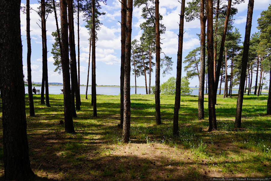 «Не врите мне»: фекалии в воде не портят отдых калининградским купальщикам (фото)