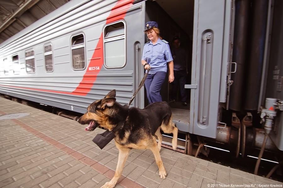 "Час пассажира": фоторепортаж "Нового Калининграда.Ru"