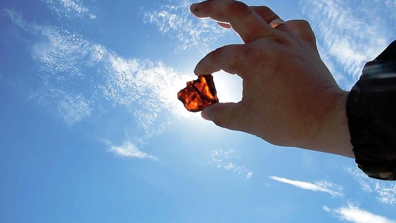 Под Зеленоградском полиция задержала 29 «черных копателей» янтаря (фото)