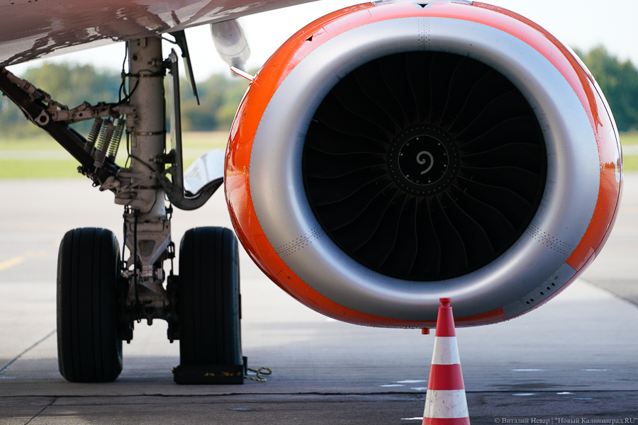 Президент Литвы потребовал разрешить пассажирам севшего в Минске самолёта продолжить рейс