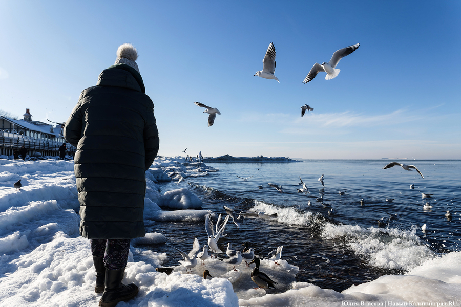 Балтика во льдах: как выглядит побережье после рекордных морозов