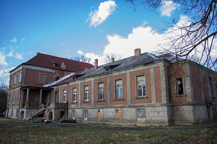 Пиццеёж и азот для мороженого: как в усадьбе Луговен учили детей кулинарии (фото)