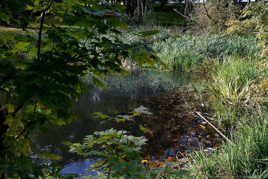 Блеск и нищета: что происходит с набережной Нижнего озера в Калининграде