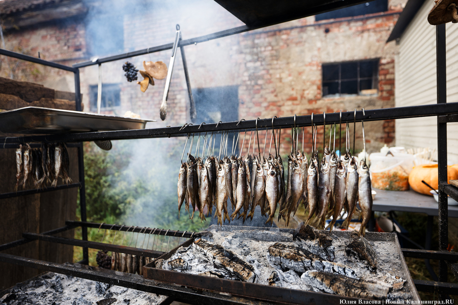 «Дружить ряпушками»: в Роминтской пуще прошёл рыбный фестиваль с карельскими корнями (фото)