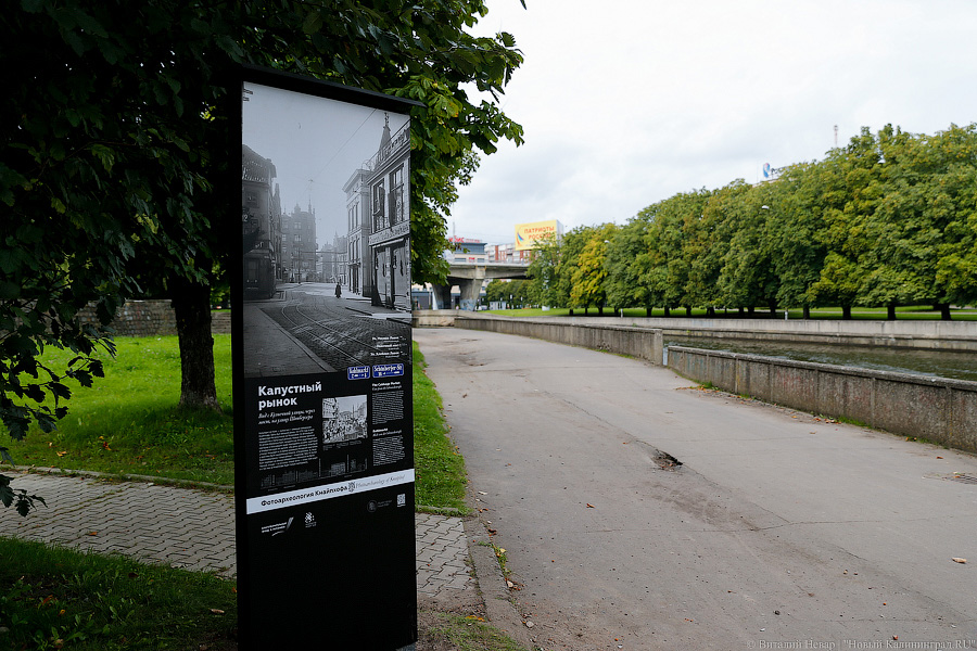 Прогулки по Кнайпхофу: о чём рассказывают новые стенды на острове Канта