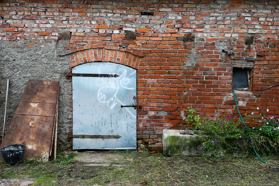 Картошка с молоком: как живут «лучшие начинающие фермеры России» из Славска
