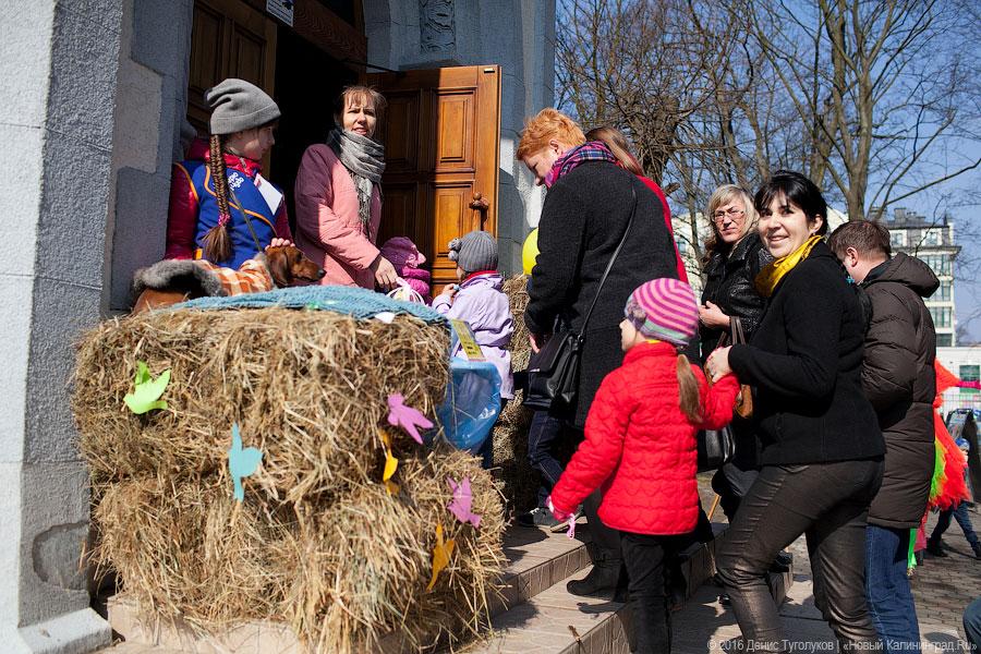Со сладостями и казачьей песней: как прошел фестиваль «Театр Чудес»