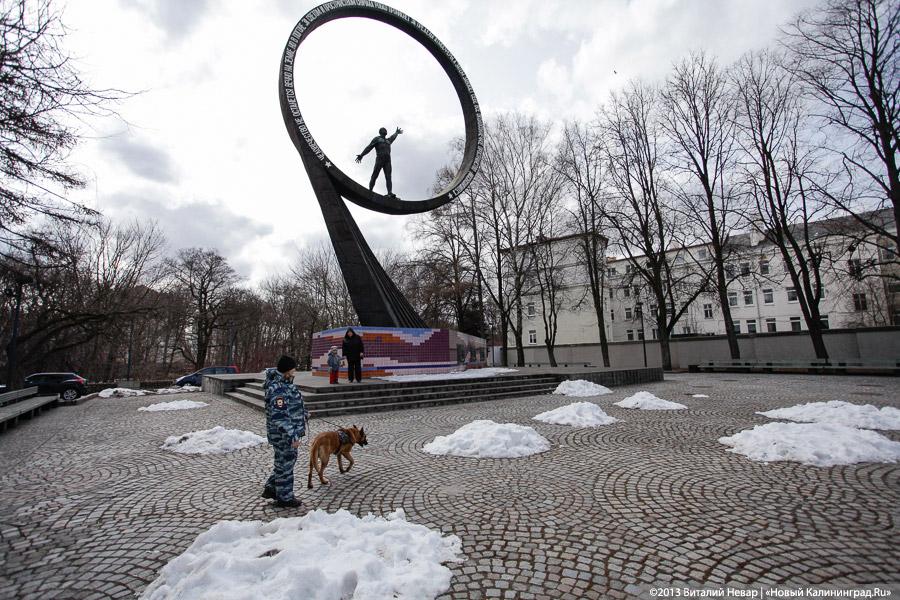 «Хватит защищать камни»: пикет «зелёных» в защиту «леса Теодора Кроне»