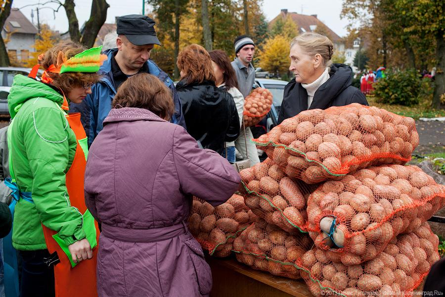 Вершки и корешки: как в Полесске отметили День картошки