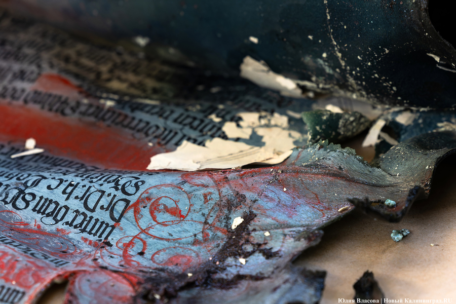 Эхо прошлого: в Калининградском зоопарке извлекли 94-летнюю «капсулу времени» (фото)