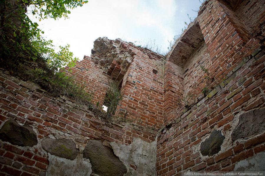 Исчезая в зелени: руины кирхи XIV века в поселке Яблоневка Гурьевского района