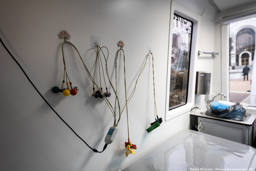 От зарядки до анализов: как в Калининграде прошёл Всемирный день здоровья