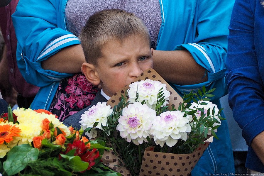 Банты, цветы, печальные дети: 1 сентября в Калининграде (фото)