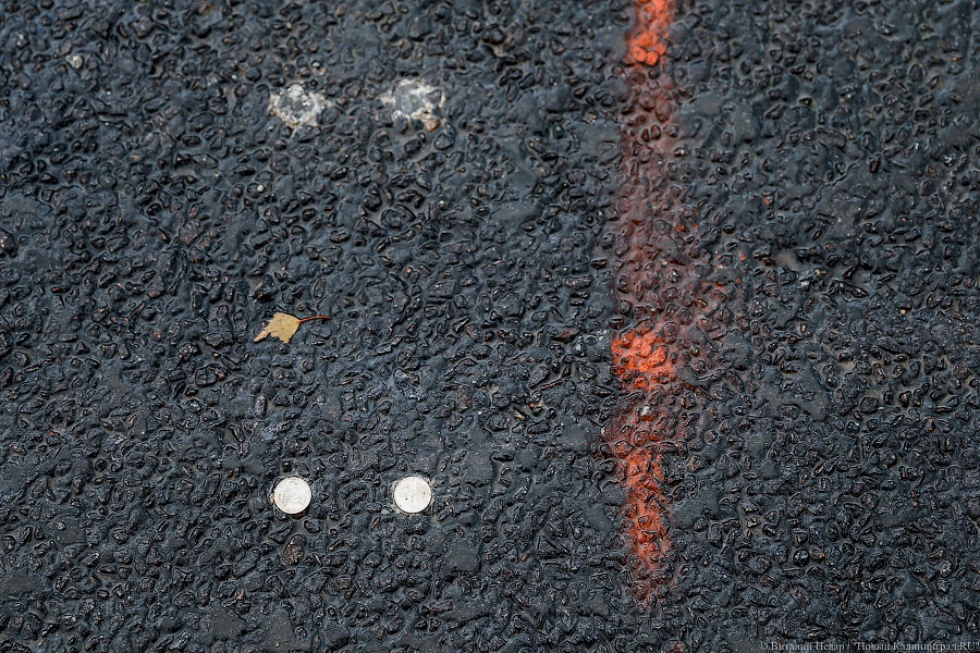 «Хэппибёздей» на органе: как Ярошук мосты на Острове открывал