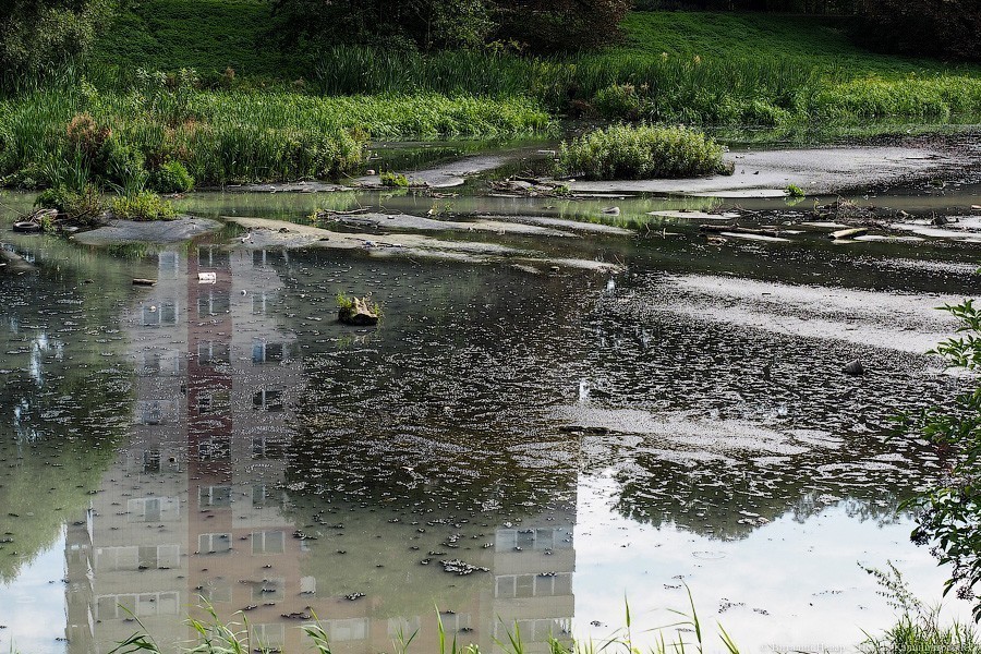 Подмосковной фирме выделяют 5,7 млн на проект очистки реки Лесной в Калининграде