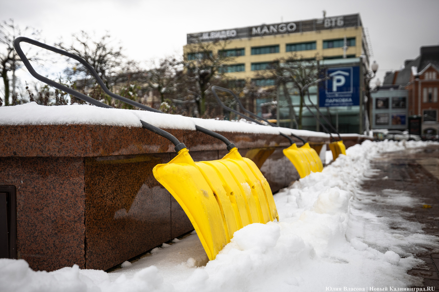 Дятлова о первом снеге: коммунальщики неплохо справились с этим испытанием 