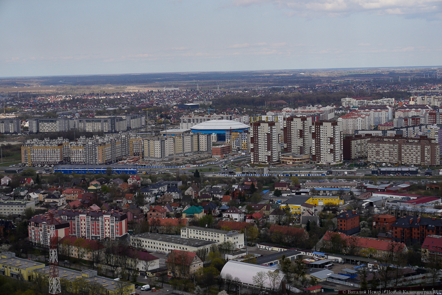 Фото: Виталий Невар / Новый Калининград