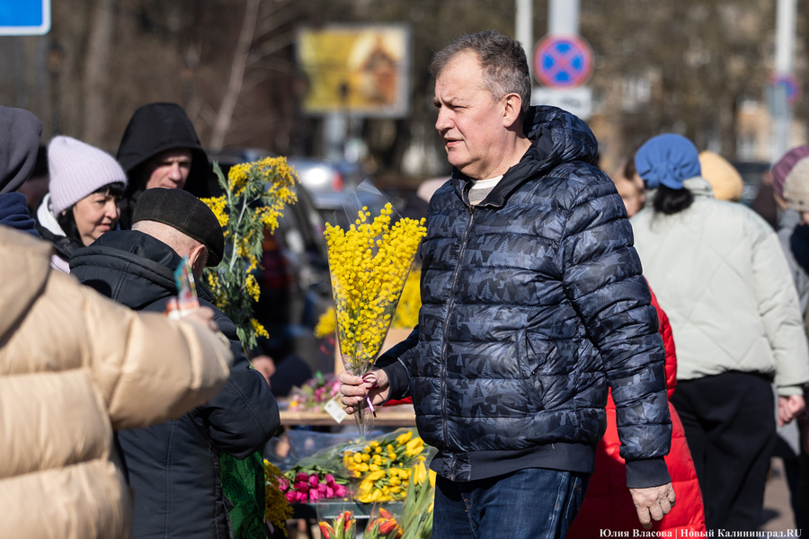 Цветочные баррикады: как выглядят улицы Калининграда 8 марта (фото)