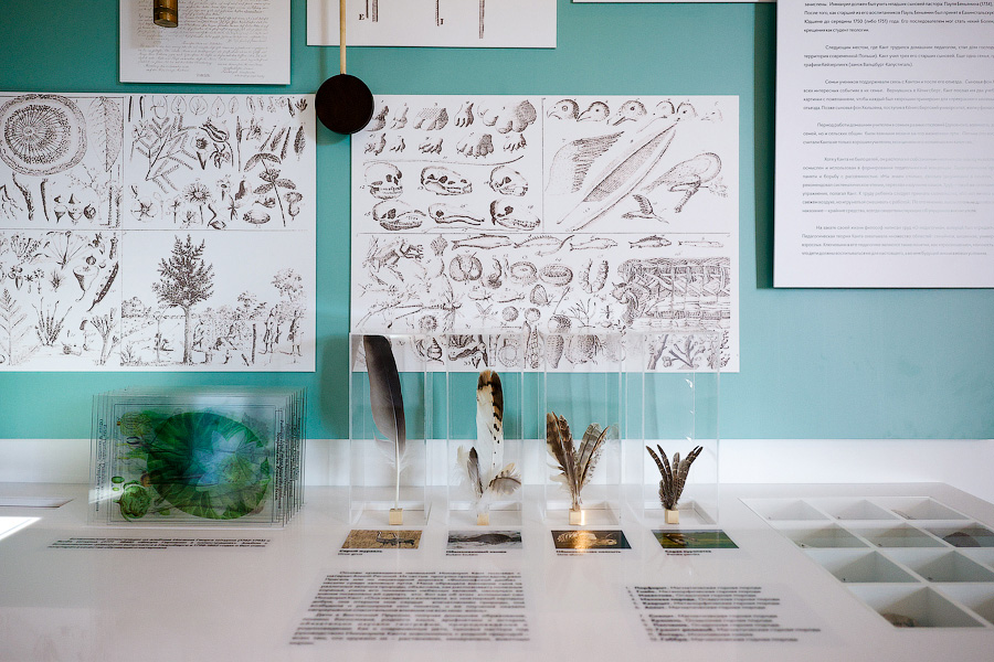 Музей чистого разума: Кафедральный собор открыл экспозицию в «домике Канта» в Веселовке (фото)