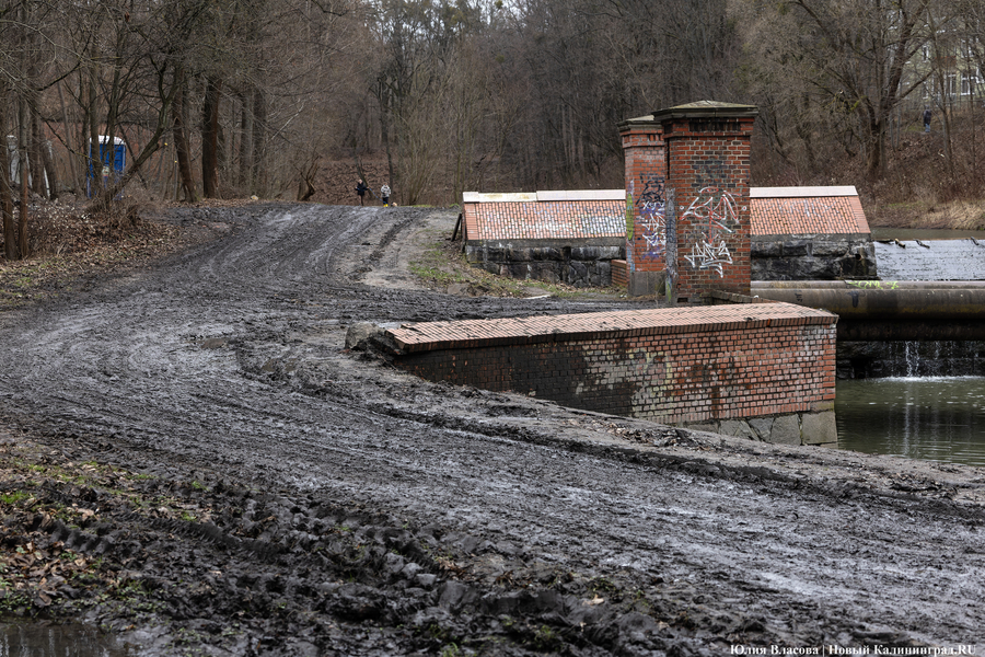 Непролазная грязь: как выглядит берег Литовского ручья в ожидании реновации (фото)