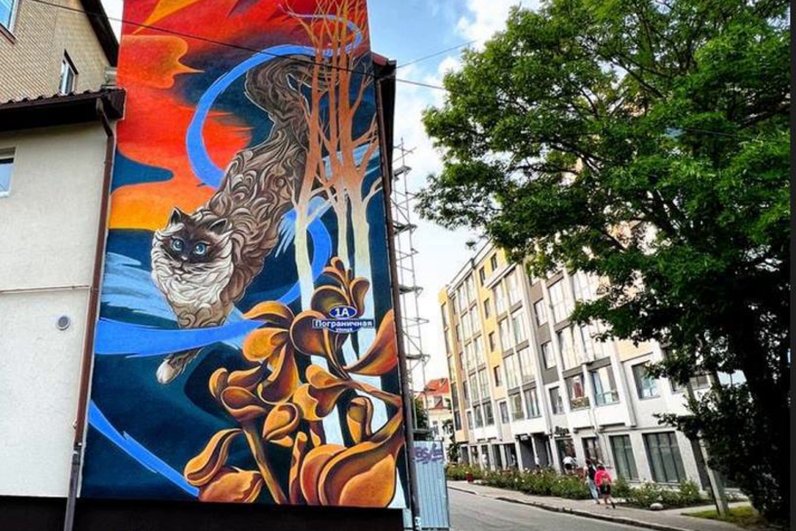 В Зеленоградске нарисовали ещё одно граффити с котом (фото)