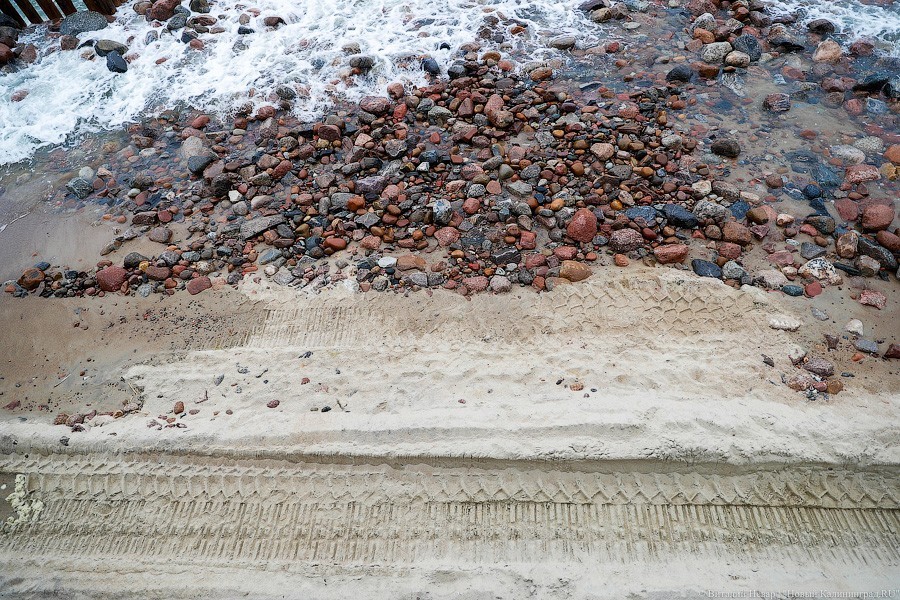 Много лиственницы и чуть песка: как выглядит светлогорский «пляж»  