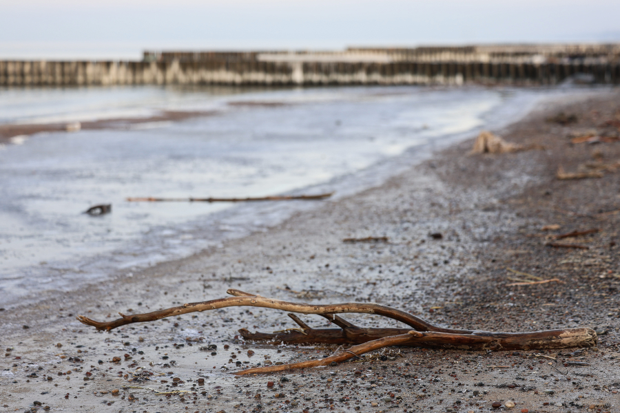 Мороз и море: как стихия украсила променад в Зеленоградске (фото)