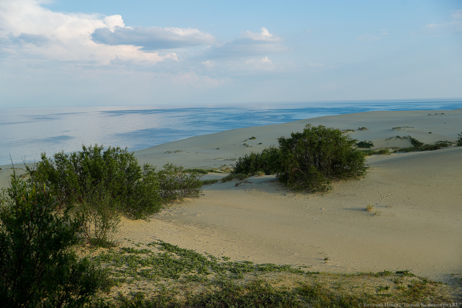 Семь температурных рекордов: климатические итоги 2021 года в Калининграде
