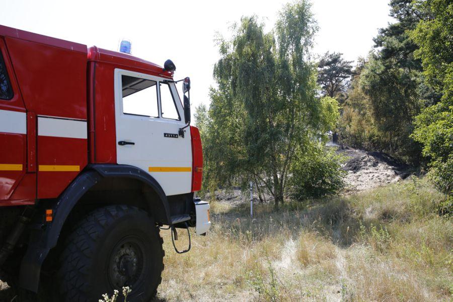 Пожар на дюне Эфа: возгорание на Куршской косе тушили вертолёты