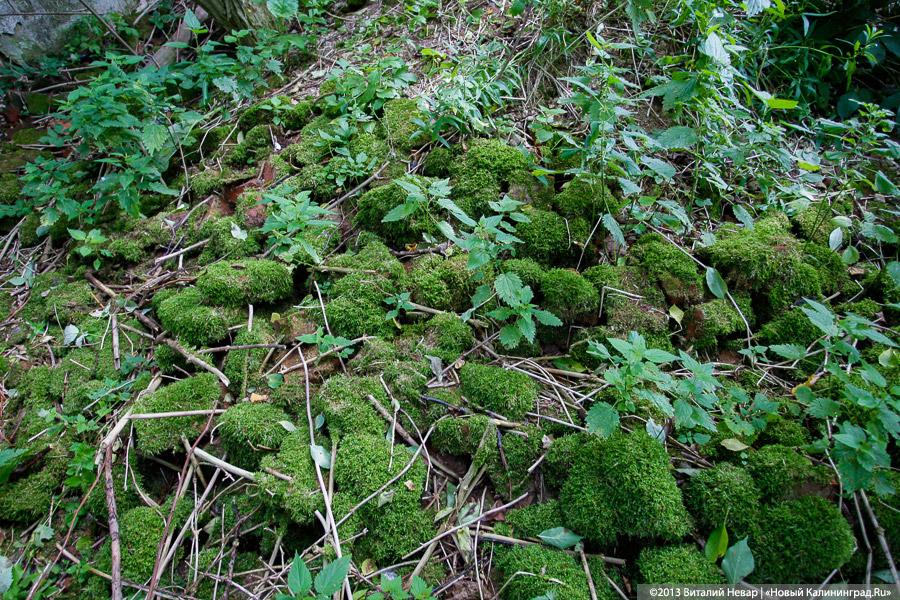По следам Первой мировой: памятники павшим в Гвардейском районе