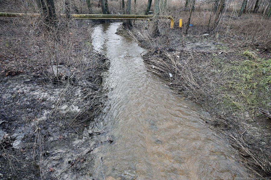 Мэрия: «Продукты питания» до конца 2019 года будет сливать отходы в реку Лесную