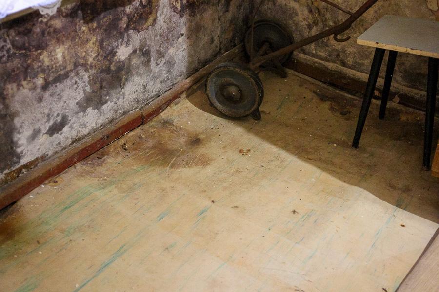 Последние жители Вальдау: почему из родной семьи забрали 10-летнего мальчика