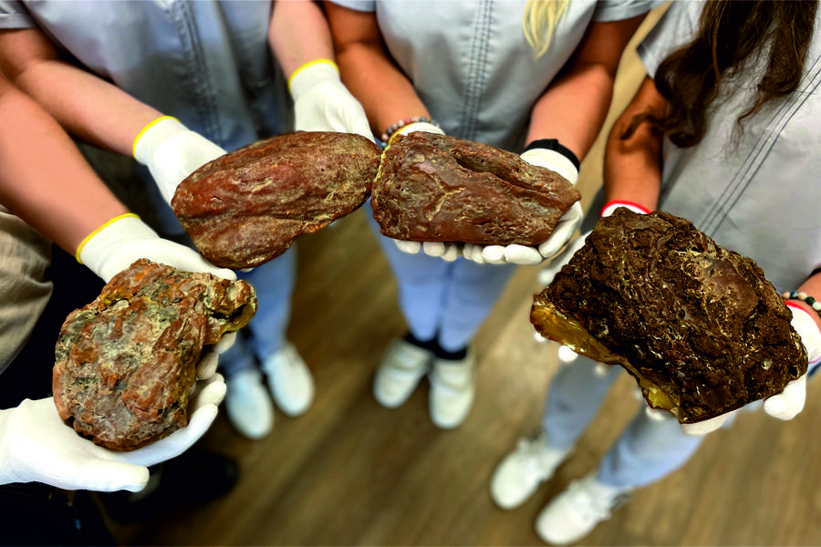 За две недели Янтарный комбинат добыл рекордное количество самородков (фото)