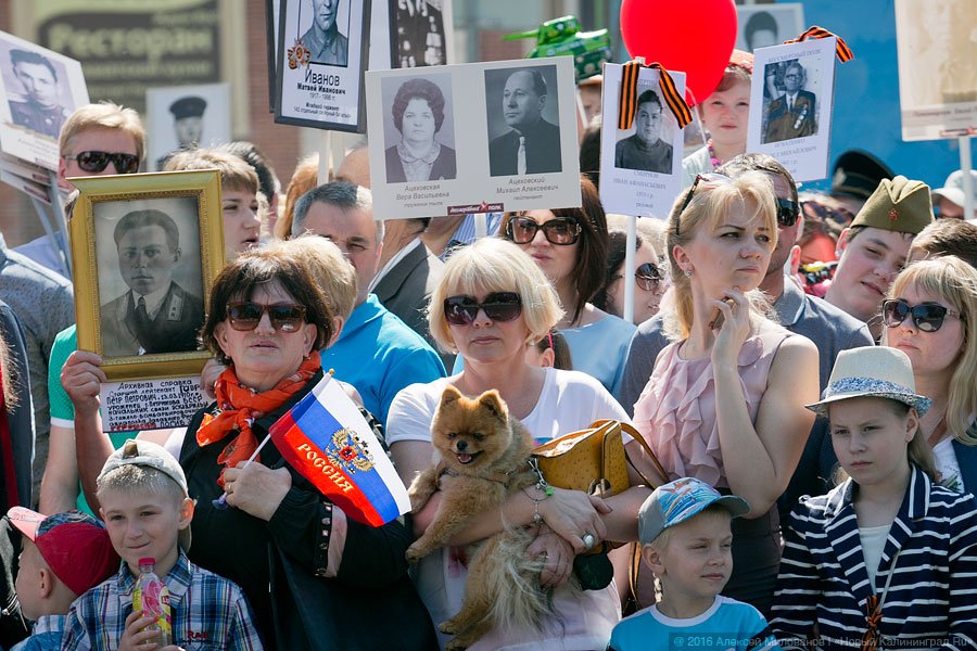 По главной улице с оркестром: как в Калининграде прошёл Парад Победы (фото)