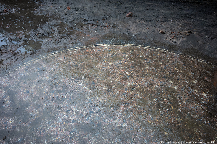 Настоящие подземелья Кёнигсберга: что находится в открывшемся провале на острове Канта (фото)