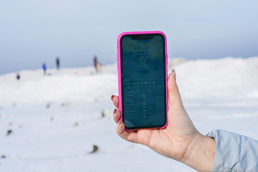 В Калининградской области массово гуляют по морскому льду, несмотря на запрет МЧС (фото)