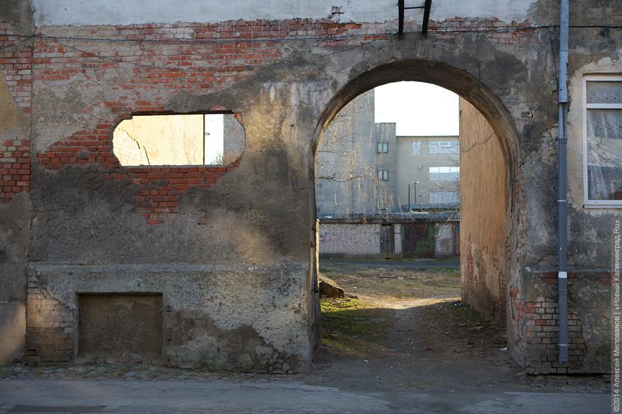 Фото — Алексей Милованов, «Новый Калининград.Ru»