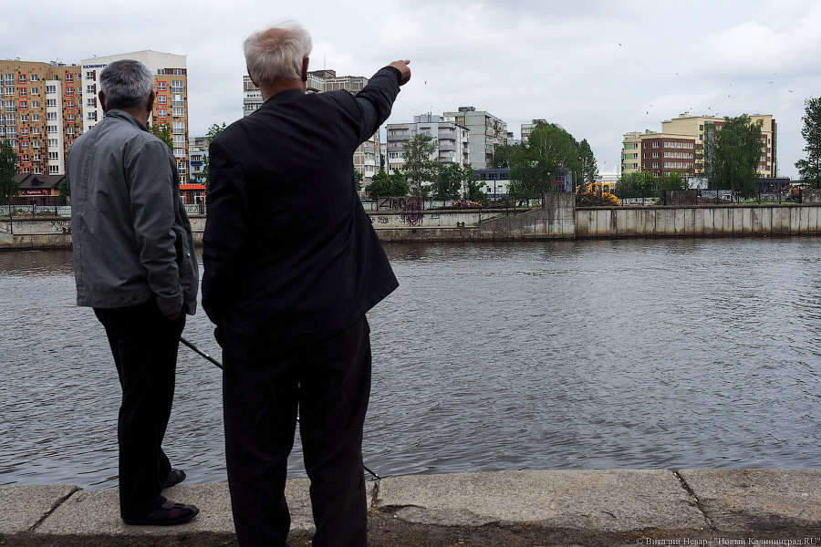 Началась вырубка на территории «Рыбной деревни-2»