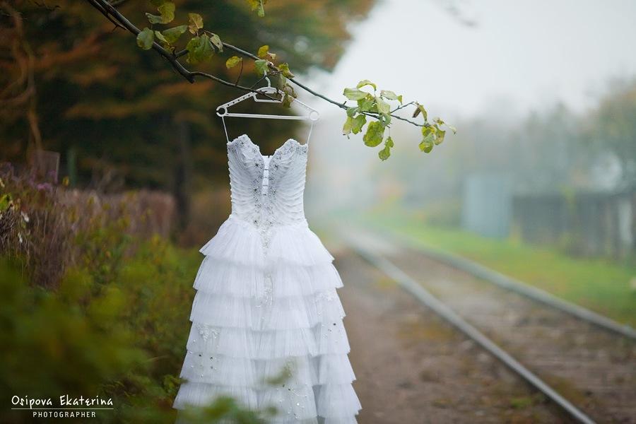 Знакомьтесь: фотографы Елена Косткевич, Денис Туголуков и Екатерина Осипова