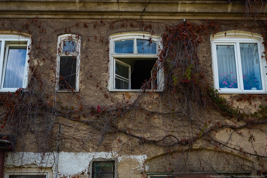 Фото — Виталий Невар, «Новый Калининград»