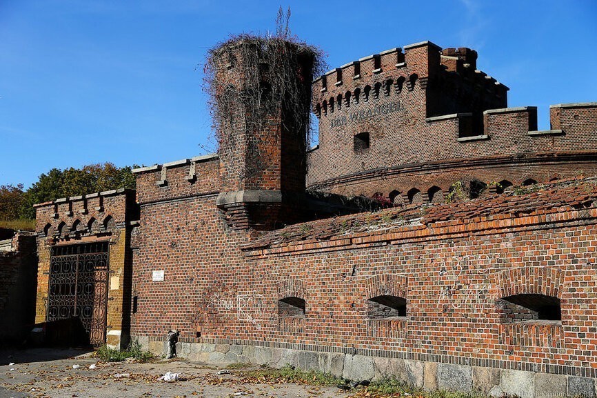 Аудиторы: передача Башни Врангеля благотворительному фонду приостановлена
