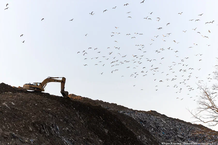 Определение проектировщика рекультивации полигона в Круглово приостановлено