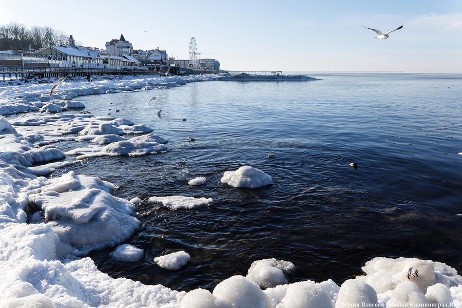 Балтика во льдах: как выглядит побережье после рекордных морозов