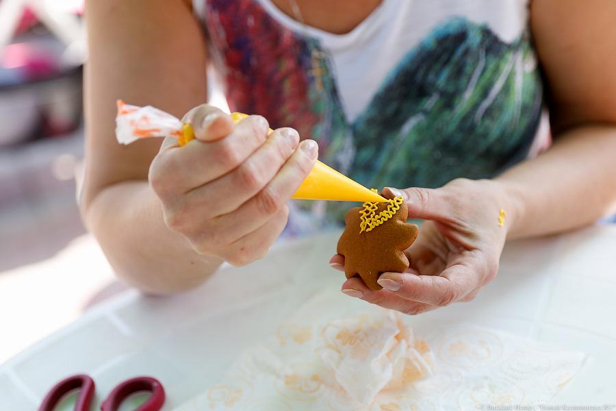 Сорок тысяч мелочью: как прошел благотворительный фестиваль «Розовая лента»